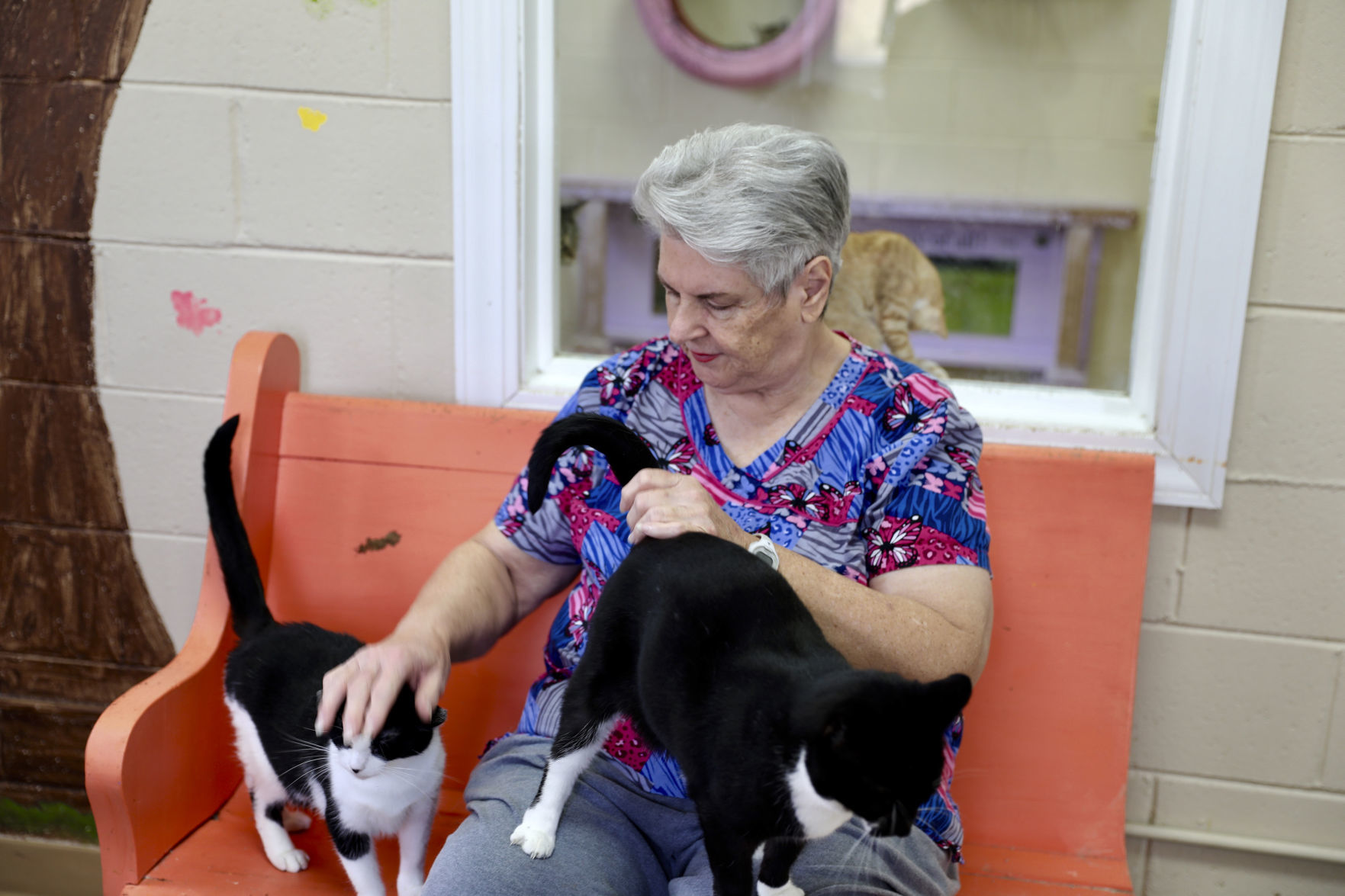 Orangeburg County Animal Shelter